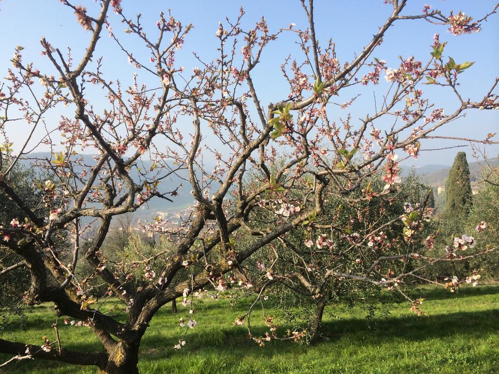 Agroturismo Il Pianetto *